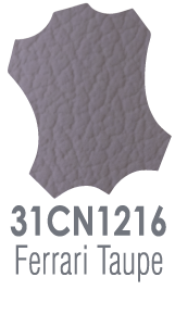 FERRARI TAUPE